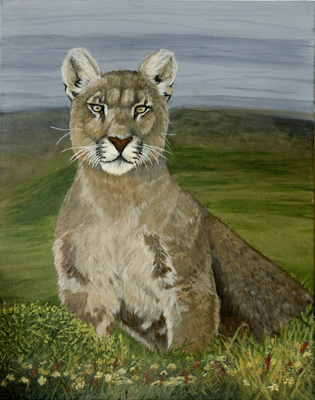 puma